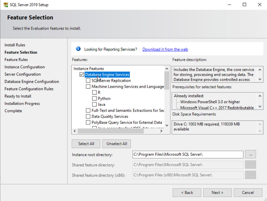 Database Engine Services option selected